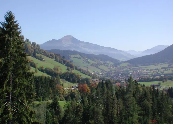 Apartment Sonnenzauber Wildschoenau